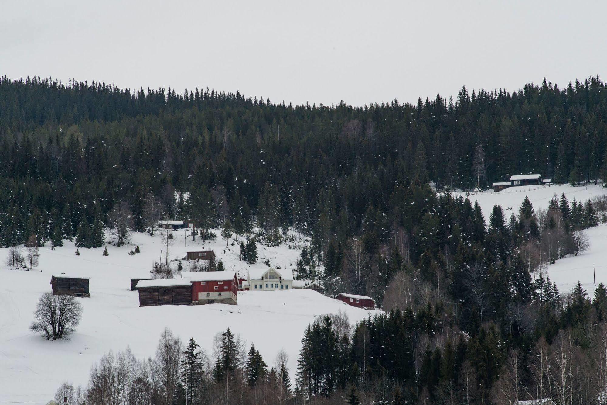 Eggedal Borgerstue Hotell Exteriör bild
